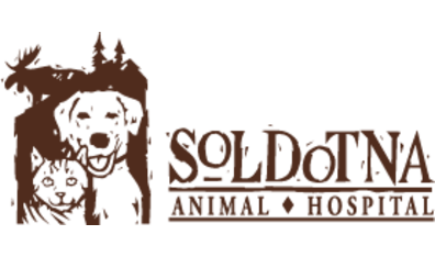 Soldotna Animal Hospital-HeaderLogo